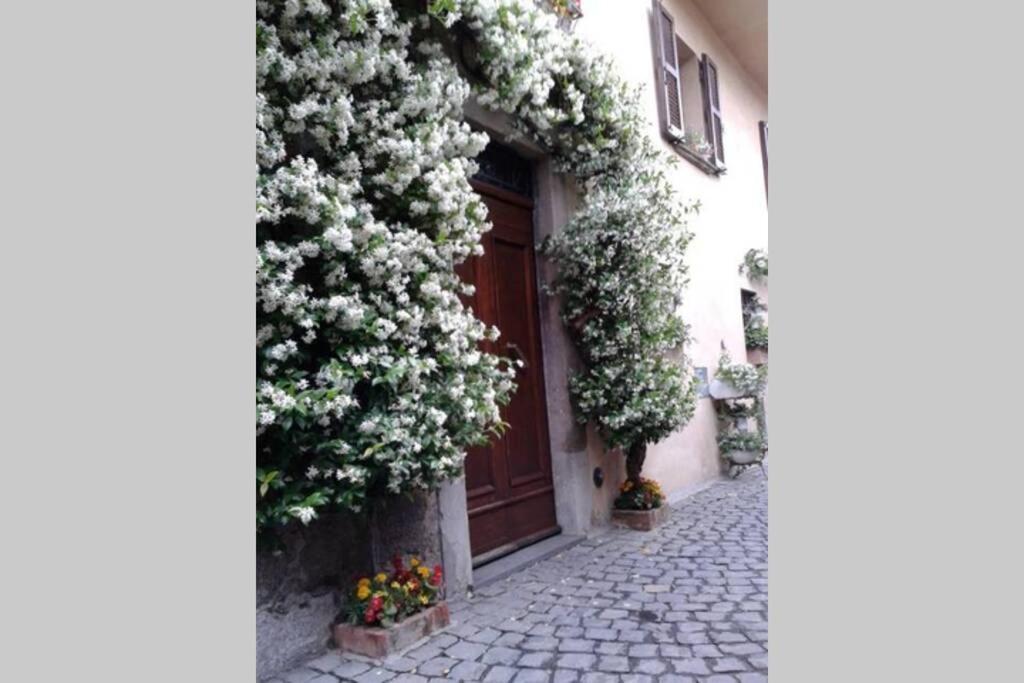 Il Gelsomino Di Isia Vila Orvieto Exterior foto