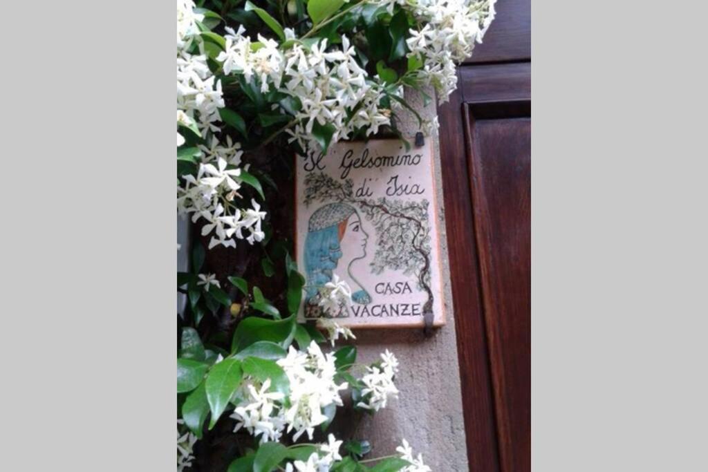 Il Gelsomino Di Isia Vila Orvieto Exterior foto