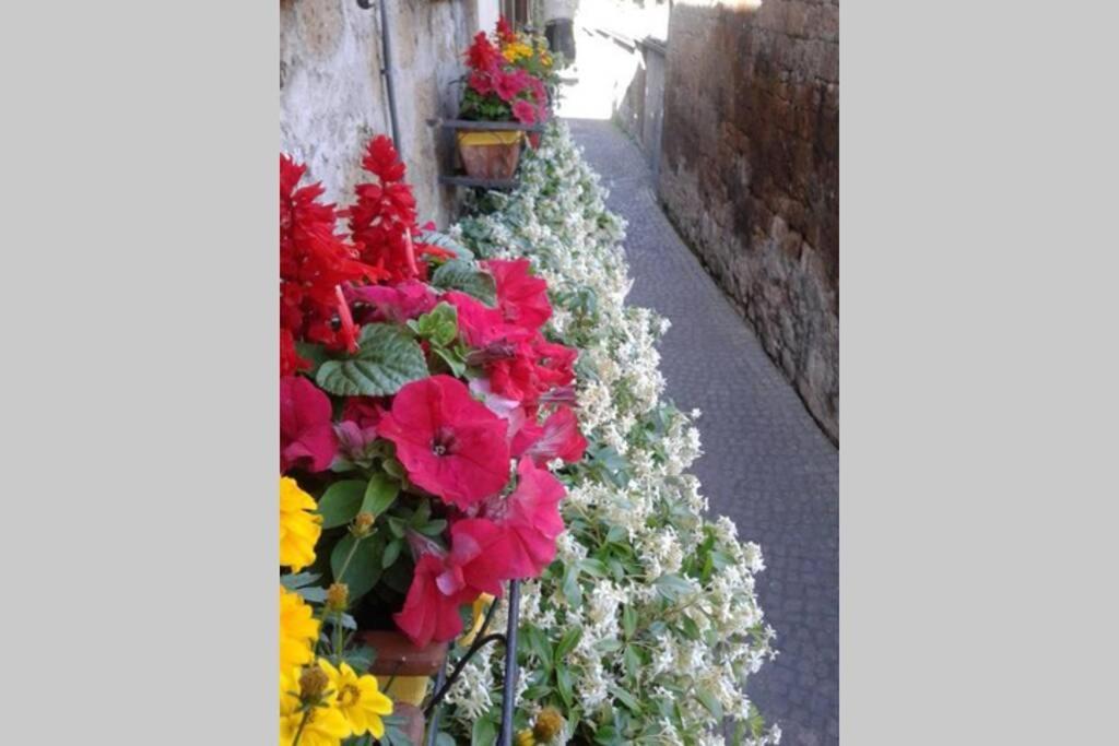 Il Gelsomino Di Isia Vila Orvieto Exterior foto